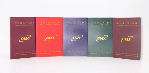 新版技師學(xué)院、技工學(xué)校畢業(yè)證書、技能等級證書及學(xué)籍查詢網(wǎng)址